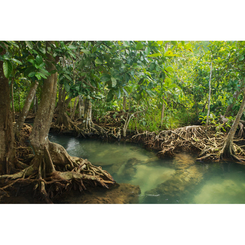 Forêt de mangrove Aniysa, H 8 po x l 12 po x P 1,25 po