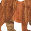 Dolby - Painting on Canvas-1590049246