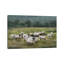 Moody Sheepscape-1740475929-1740476030-1740475925