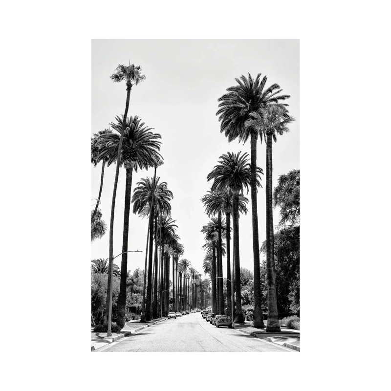 Black California Series - Beverly Hills Palm Alley - Wrapped Canvas Print, 20.32 cm H x 30.48 cm W