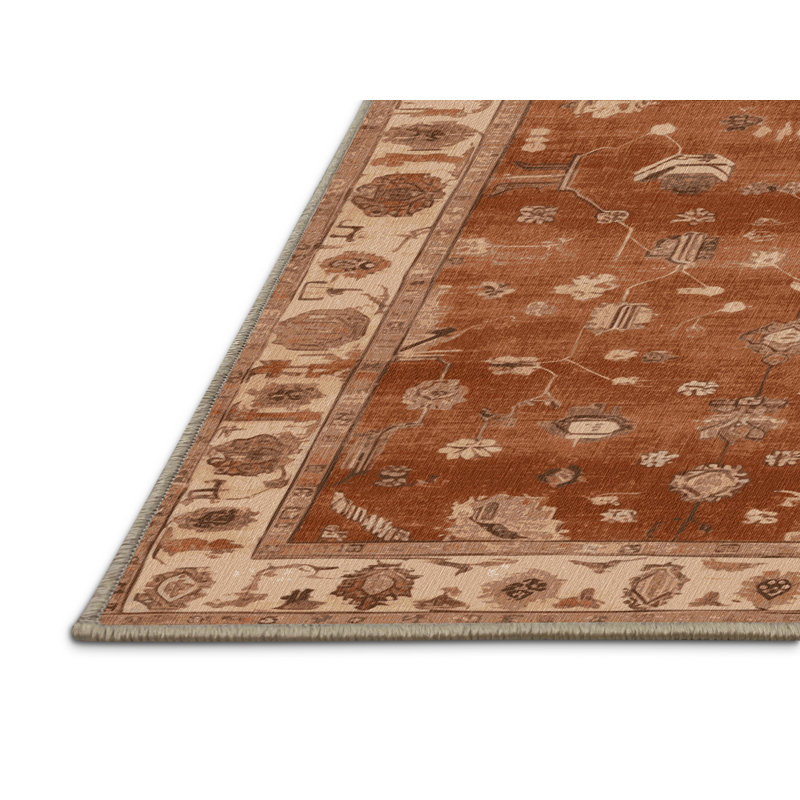 Tapis brun lavable à la machine, Rectangle 2 pi x 3 pi