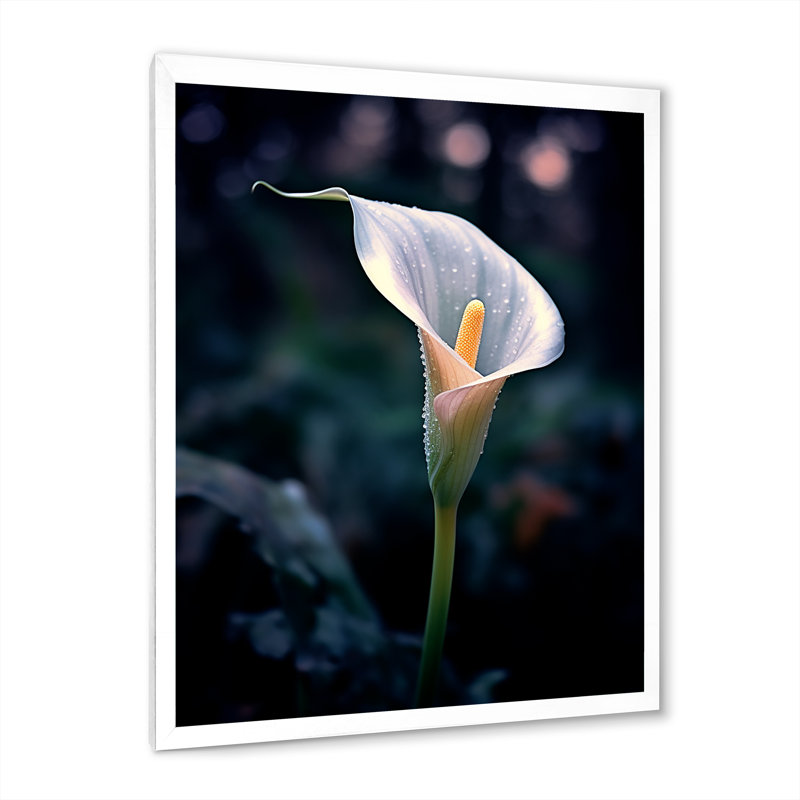 Calla Lily Moonlight Magic sur toile, H 32 po x l 16 po x P 1 po, Cadre simple blanc