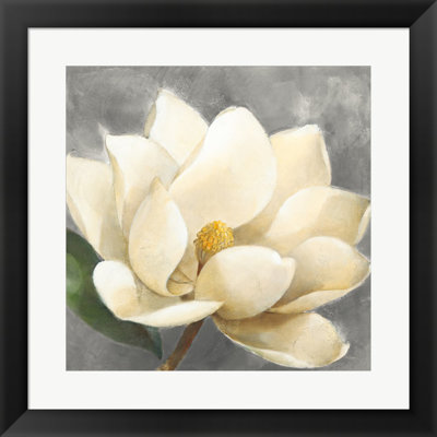 «Magnolia Blossom On Gray» par Albena Hristova - peinture encadrée