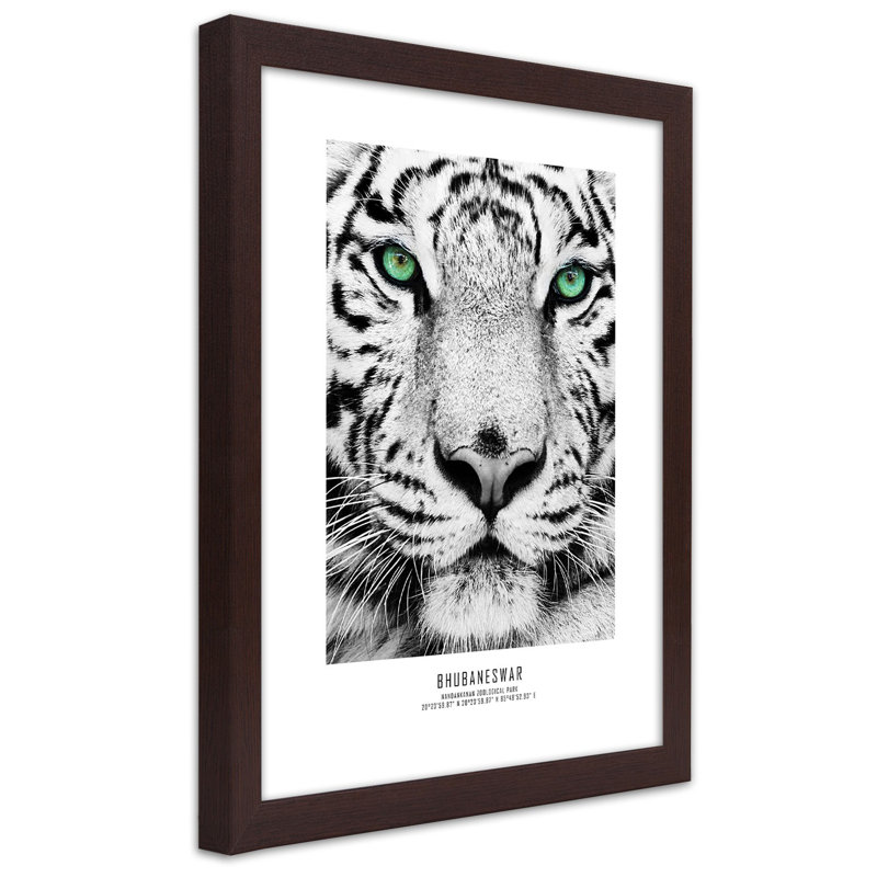 African Tigers - Single Picture Frame Print, 100cm H x 70cm W, Brown
