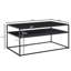 Kitten Frame Coffee Table with Storage