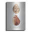  «Sienna Shell Collector 1» par Annie Warren, art mural en métal, 24 po x 36 po-1737360332