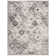 Newhouse Oriental Silver/Gray Area Rug