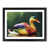 Black Framed selected