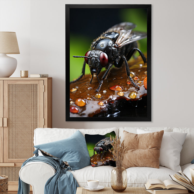 " Insects Bugs Portrait I ", Black Picture Framed, 20" H x 12" W x 1" D
