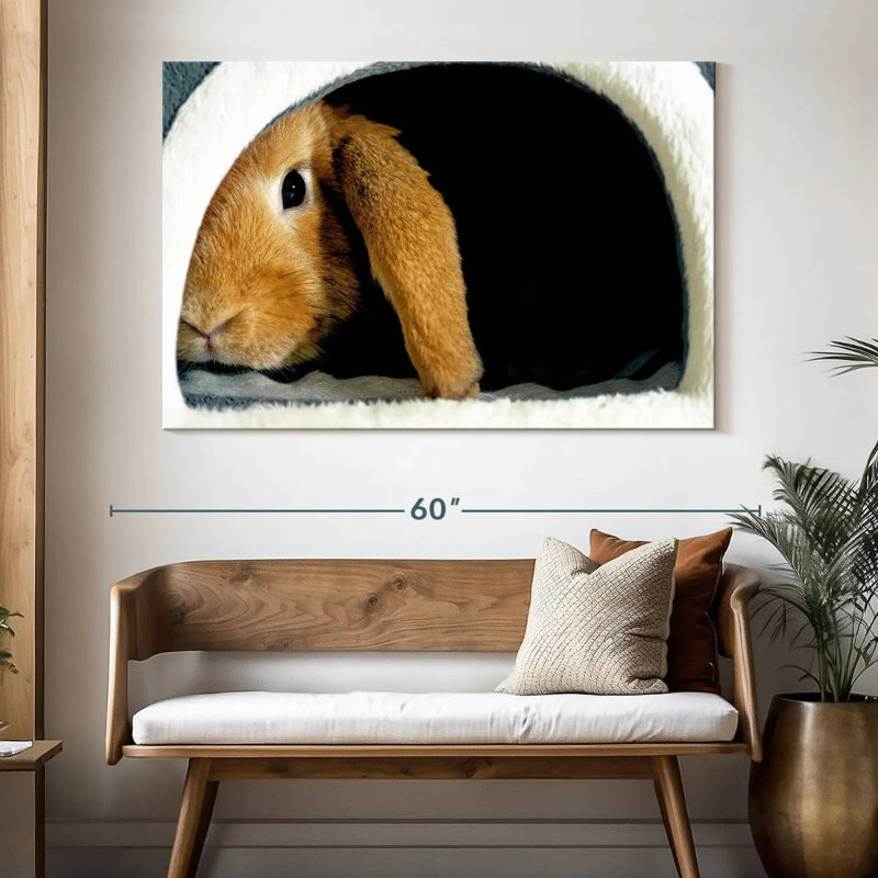 Brampt Rabbit Home, 34" H x 51" W