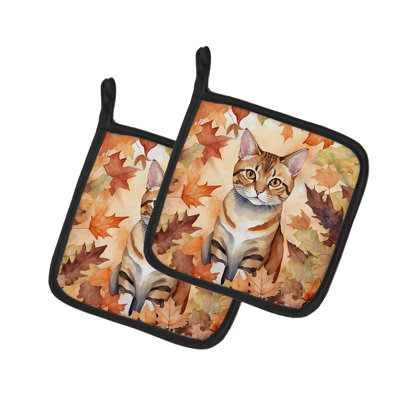 Paire de poignées pour chat German Rex