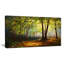 « summer forest landscape », reproduction d’art sur toile tendue-33230327-16485963