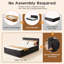 Lit plateforme rembourré Queen Size avec matelas intégré, emballage compressé en boîte - aucun assemblage requis-36065235-36065236