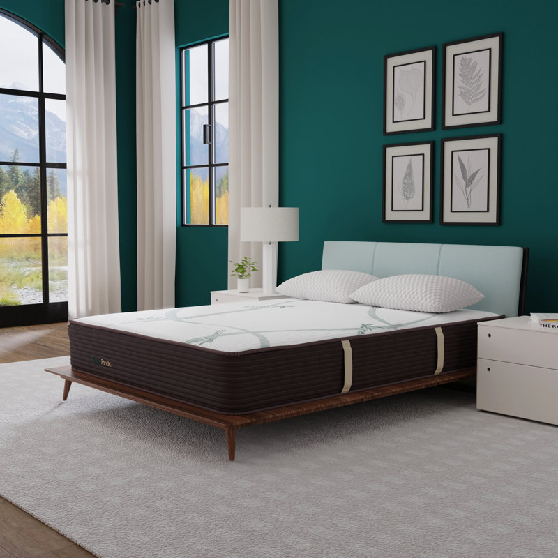 Matelas mi-doux d'infusion hybride Zencloud 12 po, Grand