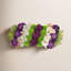 Orchidée Adelina et arrangement de plantes grasses-31174354