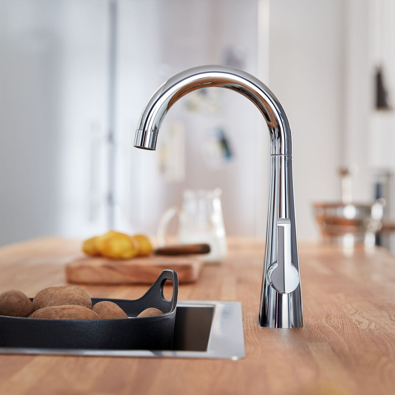 Zedra Single Handle Kitchen Faucet with Accessories, StarLight Chrome