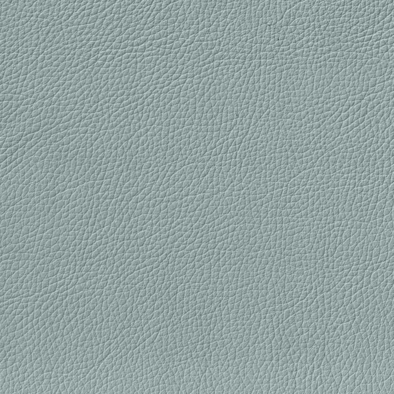 Cuir bleu: mousse à mémoire de forme, revêtement, plumes et duvet d'oie renforcés, cuir, structure en bois