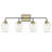 4 - Light Dimmable Vanity Light-578753440