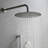 Shower System with Shower Head