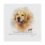 Golden retriever-reproduction sur toile tendue-26853920
