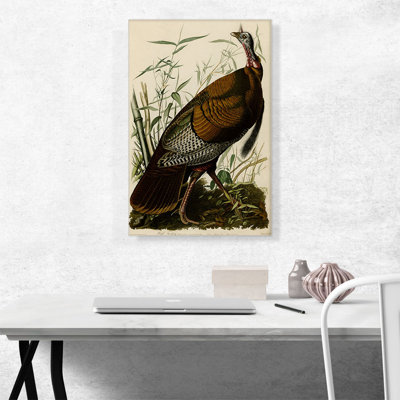 «Great American Cock Wild Turquie» par James Audubon, reproduction d'art sur toile tendue