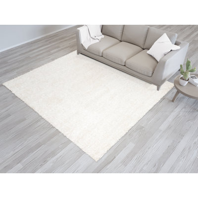 Jeira Solid Colour Shag 50cm X 80cm Area Rug
