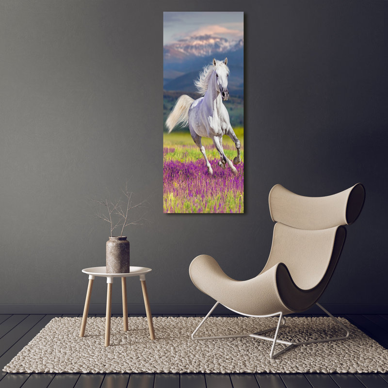 White Horse In Gallop - Wrapped Canvas Print