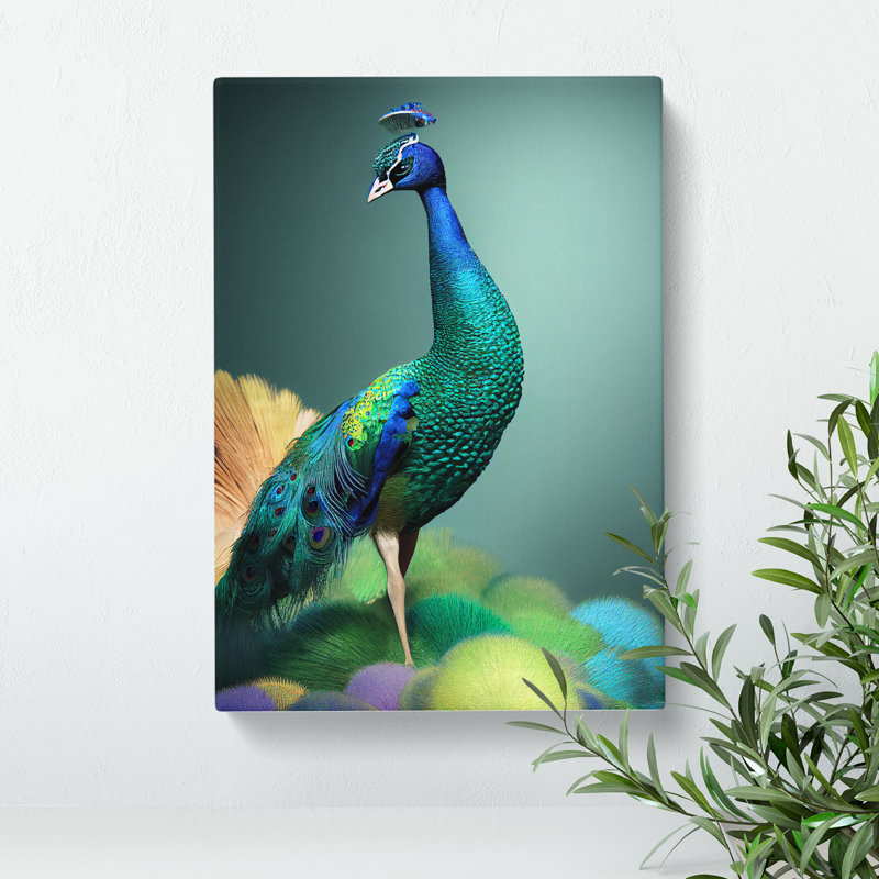 Amazing Peacock - Wrapped Canvas, 50cm H x 35cm W x 3cm D