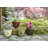 15.25" Modesto Resin Planter (2 Pack)