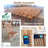 Teak Outdoor Lounge Chair