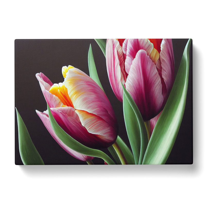 Awe Inspiring Tulip Flowers - Wrapped Canvas, 35cm H x 50cm W