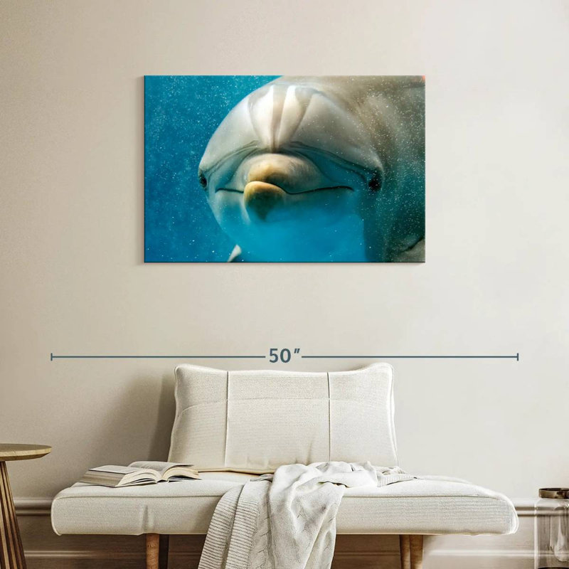 Brampt Nosy Dolphin, 24" H x 36" W