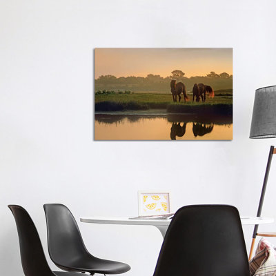 Wild Horse Pair Grazing at Assateague Island National Seashore, Maryland 1 Piece Wrapped Canvas Wall Art