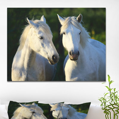 «Swigart Farmhouse Portrait of Gorgeous Horses», reproduction de photo sur toile tendue
