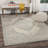 Ellicott Performance Oriental Rug-96229549