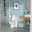 Ceramic One Piece Toilet,Dual Flush With Soft Clsoing Seat