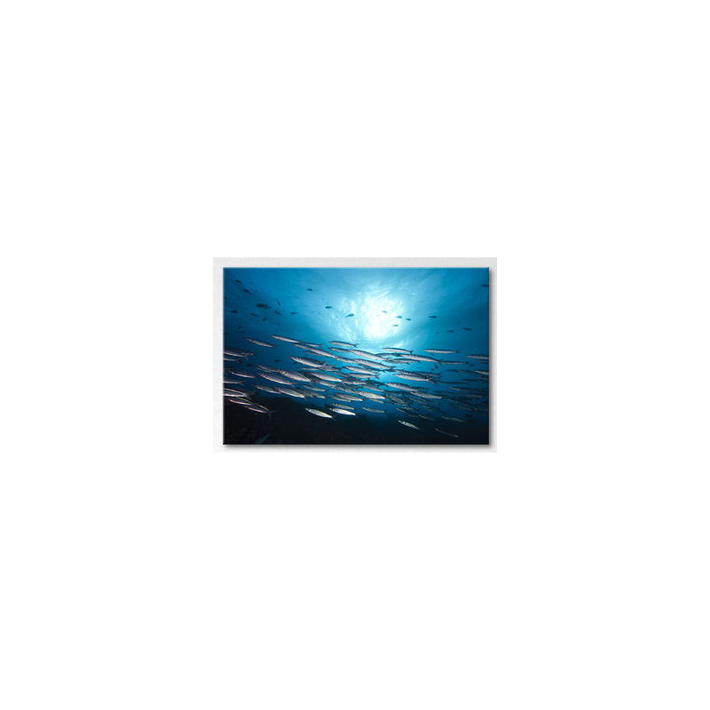 Stretched On Wooden Frame Fotodrucke on Leinwand, 80cm H x 120cm W x 2cm D
