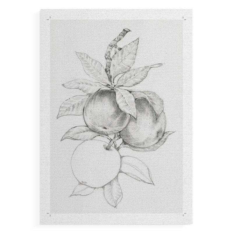 Branche de fruitier II - impression sur toile seulement - non encadrée, H 27 po x l 18 po