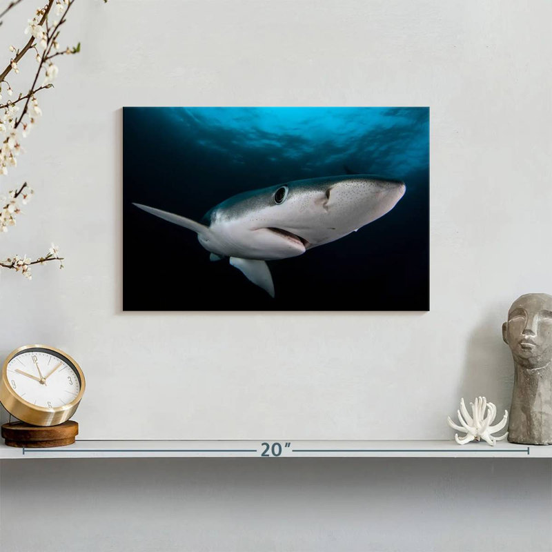 Brampt Underwater Blue Shark, 8" H x 12" W