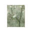 Gypsy Star II Print-26950078-26950080