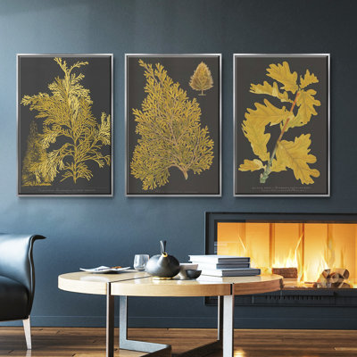 " Marbling X " 3 - Pieces