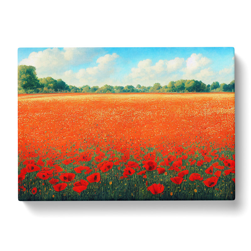 Exceptional Poppy Field Flowers - Wrapped Canvas, 40cm H x 60cm W x 3cm D