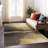 Machine Washable Indoor/Outdoor Chantille ACN2419 Abstract Rug-741330411