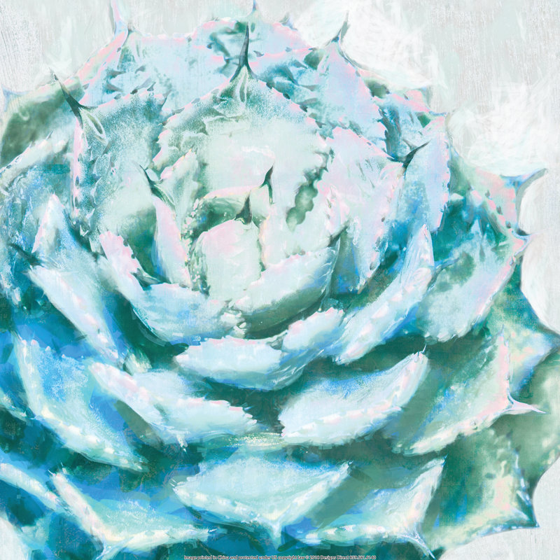 Abstracted Succulent With Teal - Wrapped Canvas Painting, 30cm H x 30cm W x 3.8cm D