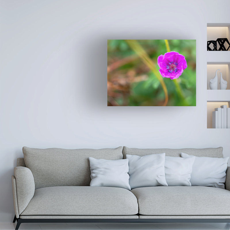«Suzanne Bonin Geranium», art sur toile, 14" H x 19" W