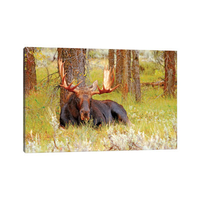 Resting by Brian Wolf - Wrapped Canvas Print