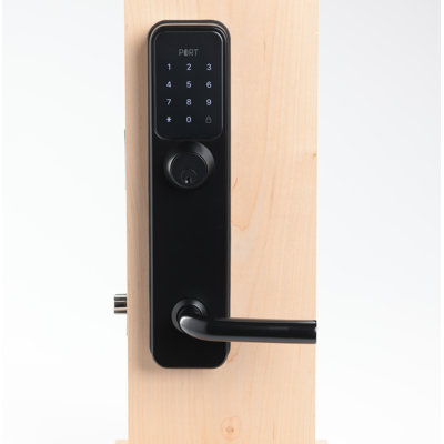 Commercial Grade Smart Deadbolt/ Lever Lock
