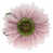 Rose foncé