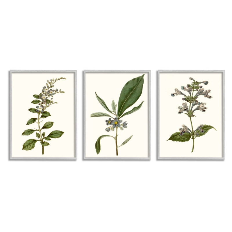 «Minimal Blue Botanical Study over Neutral Beige» par Curtis - ensemble de 3 impressions, H 14 po x l 11 po