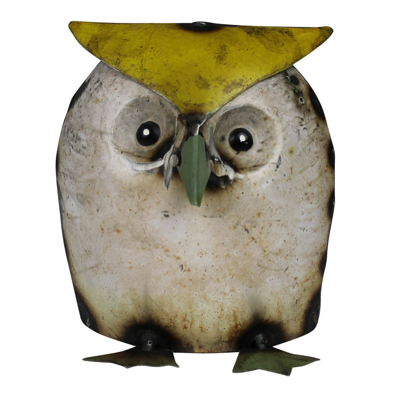 Hibou, récupéré
